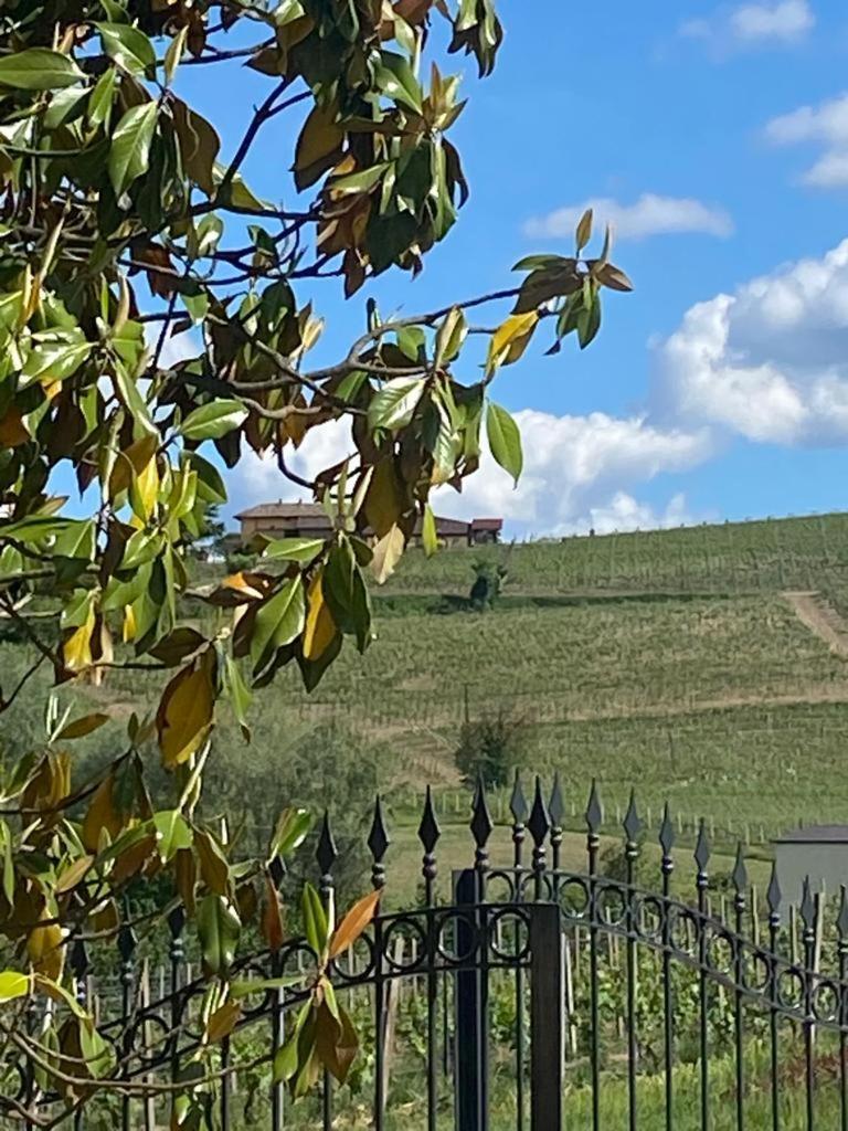 Piemonte Country House 阿利亚诺泰尔梅 外观 照片